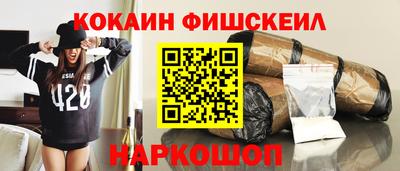 индика Камышлов