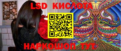 индика Камышлов