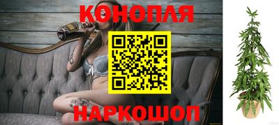 индика Камышлов