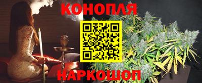 индика Камышлов