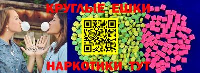 индика Камышлов