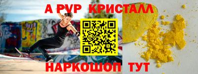индика Камышлов