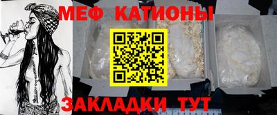 индика Камышлов